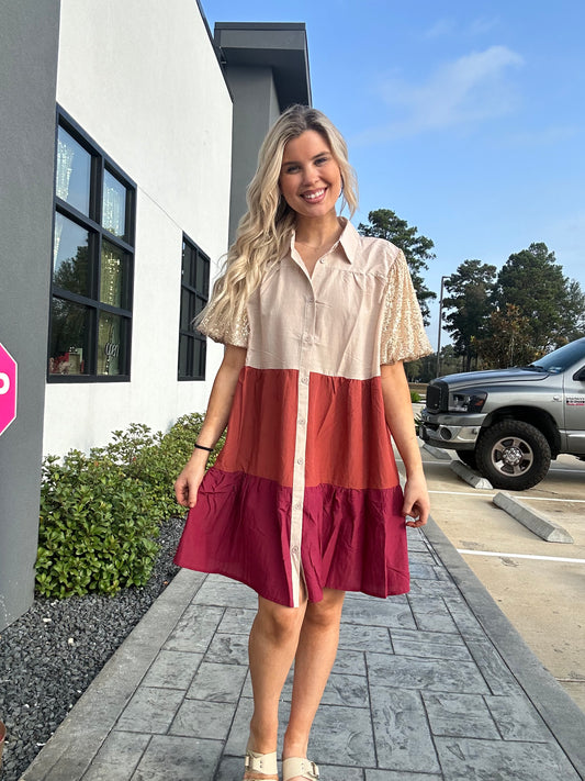 Color Block Sequin Sleeve Dress