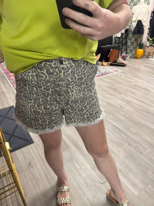 Cool Cat Leopard Shorts