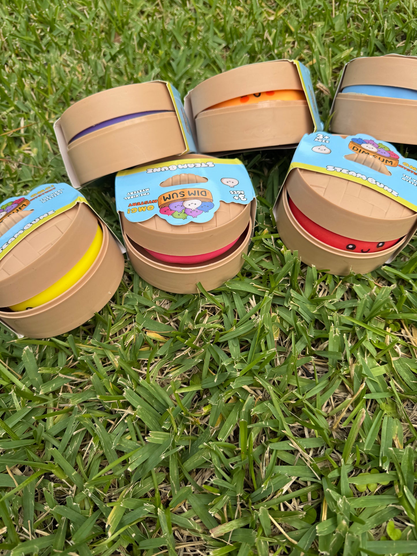 MYSTERY Dumplins. In stock & ready to ship!