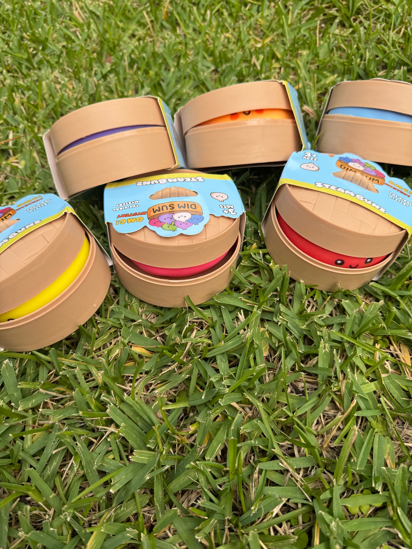 MYSTERY Dumplins. In stock & ready to ship!